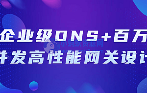企业级DNS+百万并发高性能网关设计