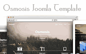 [精仿]RT Osmosis旅游joomla模板