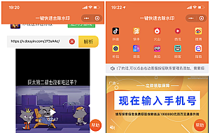 【无BUG微信去水印小程序】全网首发完美可运营美化版+送免费接口
