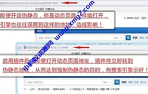 Discuz强制伪静态地址seoV5.3插件