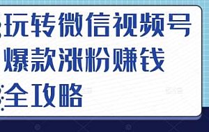 玩转微信视频号爆款涨粉赚钱全攻略,让你快速抓住流量风口,收获红利财富