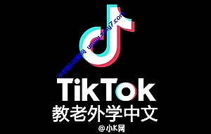 蓝海项目:在Tiktok上教老外学中文