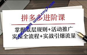 拼多多进阶课 掌握底层规则+活动推广+实操全流程+实战引爆流量