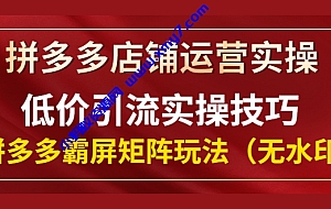 拼多多店铺运营实操,低价引流实操技巧,拼多多霸屏矩阵玩法(无水印)