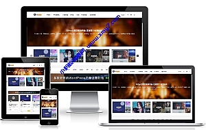 ripro9.0修正升级版(二开版本)+WP两款美化包+稀有插件