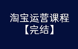 某团队淘宝运营课程 从入门到精通玩转淘宝【完结-高清无水印】