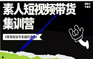 夜草与千里马素人短视频带货集训营,薛辉团队价值599元