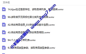 大型商城开发视频教程全程实录