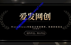《爱发必学第14课》WordPress导航站点搭建教程,快速获取流量1000+