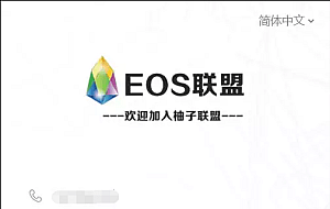 柚子EOS联盟系统源码