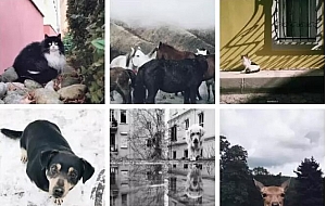 韩松手机摄影系列课程 零基础学手机摄影(30节课)