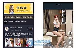 最新抖你妹原版主题源码仿抖音模式套图SEO源码_WordPress图片主题