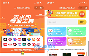 2022最新版去水印小程序源码