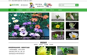 (PC+WAP)绿色花草植物网站源码 花卉养殖新闻资讯类pbootcms模板