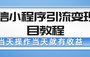 微信小程序引流变现项目教程 当天操作当天就有收益,变现不再是难事
