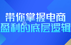 带你掌握电商盈利的底层逻辑