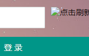 PbootCms后台登陆不显示验证码【阿里云虚拟主机】