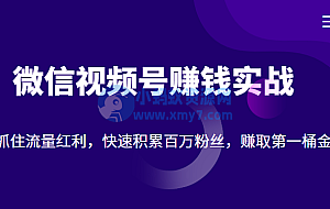 微信视频号赚钱实战:抓住流量红利,快速积累百万粉丝,赚取你的第一桶金