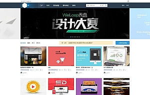 迪恩UI清新设计风格网站模板 Discuz模板