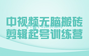 中视频无脑搬砖剪辑起号训练营