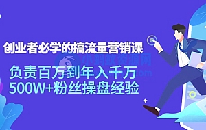 创业者必学的搞流量营销课:负责百万到年入千万,500W+粉丝操盘经验