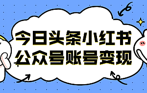 今日头条小红书公众号账号变现