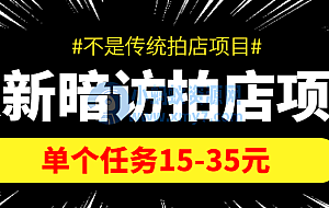 最新暗访拍店信息差项目,单个任务15-35元(不是传统拍店项目)