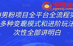 ZGKJ男粉项目全平台全流程实操拆解,多种变现模式和进阶玩法,一次性全部讲明白