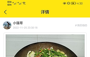 wordpress 全断小程序源码