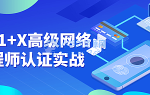 华为1+X高级网络工程师认证实战