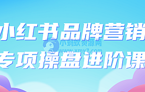 小红书品牌营销专项操盘进阶课