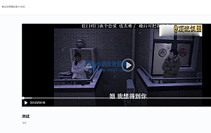 BGS局域网视频源码