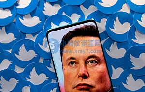 推特被员工告上法庭,被指裁员时更针对女员工