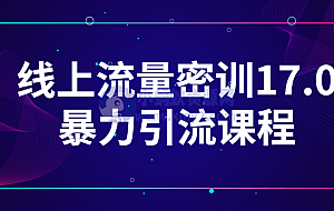 线上流量密训17.0暴力引流课程