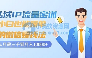 小白也能爆单的微信赚钱法密训:私域IP流量从月薪三千到月入10000+