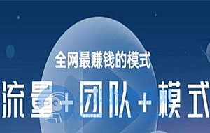 全网最赚钱的模式《流量+团队+模式》案例实战商业模式