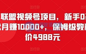 视频号项目:新手0基础轻松月赚10000+,保姆级教程(原价4988元)