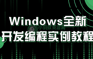 Windows全新开发编程实例教程