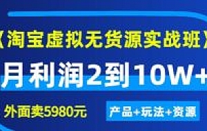2022程哥电商淘宝虚拟实战班:线上第4期陪跑训练营(价值5980元)