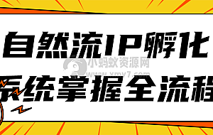 自然流IP孵化系统掌握全流程