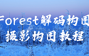 Forest解码构图摄影构图教程