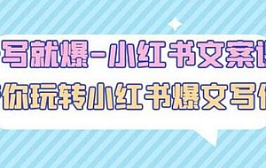 一写就爆-小红书文案课:带你玩转小红收爆文写作(45节课)