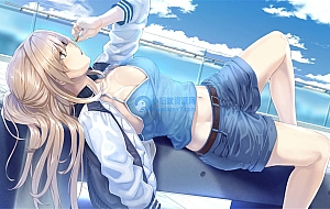 《未来广播与人工鸽》中文版