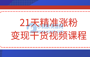 21天精准涨粉变现干货视频课程