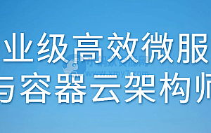 企业级高效微服务与容器云架构师