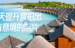 21天提升营拍出有意境的照片