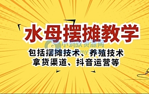 水母·摆摊教学,包括摆摊技术、养殖技术、拿货渠道、抖音运营等