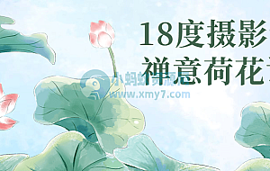 18度摄影学院禅意荷花课程