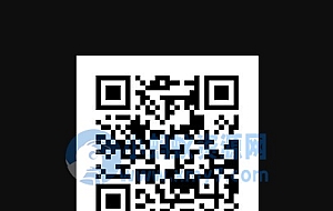 给网站内容添加动态二维码api