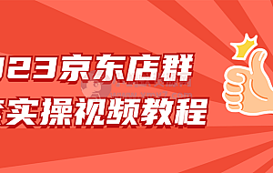 2023京东店群整套实操视频教程